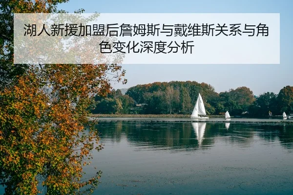 湖人新援加盟后詹姆斯与戴维斯关系与角色变化深度分析
